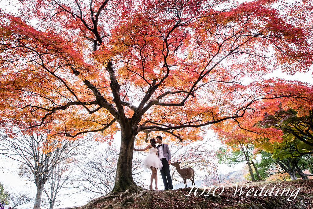 婚紗側錄
